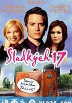 十七岁初体验 Try Seventeen (2002) 4K网盘迅雷下载