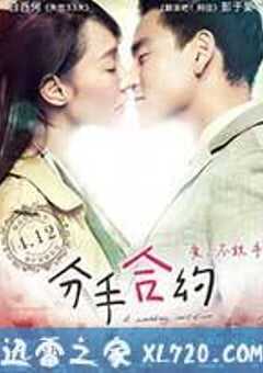 分手合约 (2013) 4K网盘迅雷下载