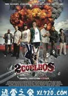 两只兔子 2 Coelhos (2012) 4K网盘迅雷下载