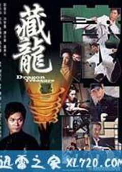 藏龙 (2007) 4K网盘迅雷下载