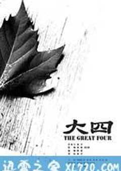 大四 (2013) 4K网盘迅雷下载