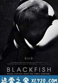 黑鲸 Blackfish (2013) 4K网盘迅雷下载