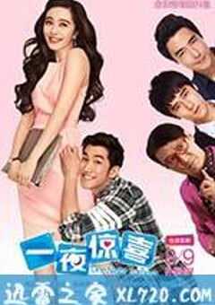 一夜惊喜 (2013) 4K网盘迅雷下载