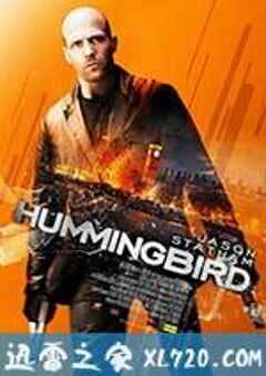 蜂鸟特攻 Hummingbird (2013) 4K网盘迅雷下载