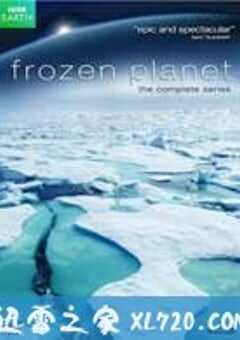 冰冻星球 Frozen Planet (2011) 4K网盘迅雷下载