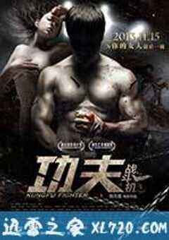 功夫战斗机 (2013) 4K网盘迅雷下载
