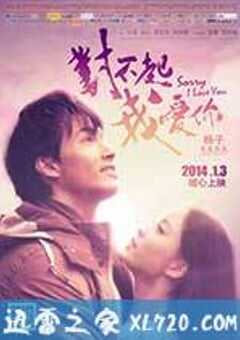对不起，我爱你 (2013) 4K网盘迅雷下载
