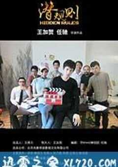 潜规则 (2013) 4K网盘迅雷下载