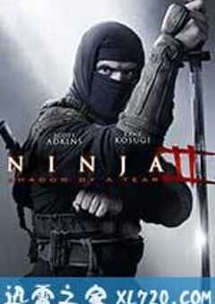 忍者2：撕裂的暗影 Ninja: Shadow Of A Tear (2013) 4K网盘迅雷下载