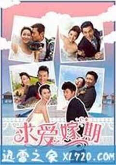 求爱嫁期 (2014) 4K网盘迅雷下载