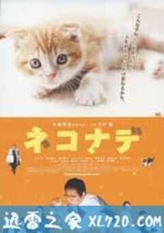 小猫奇缘 ネコナデ (2008) 4K网盘迅雷下载