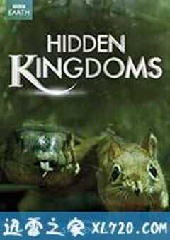 隐秘王国 Hidden Kingdoms (2014) 4K网盘迅雷下载