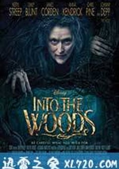 魔法黑森林 Into the Woods (2014) 4K网盘迅雷下载