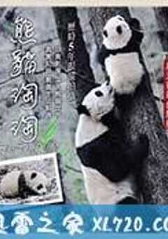 熊猫淘淘 (2014) 4K网盘迅雷下载