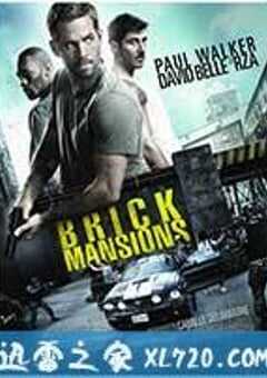 暴力街区 Brick Mansions (2014) 4K网盘迅雷下载
