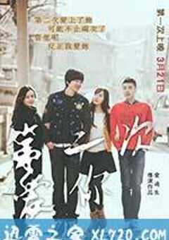第二次爱你 (2015) 4K网盘迅雷下载