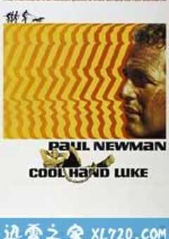 铁窗喋血 Cool Hand Luke (1967) 4K网盘迅雷下载