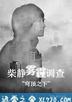穹顶之下 (2015) 4K网盘迅雷下载