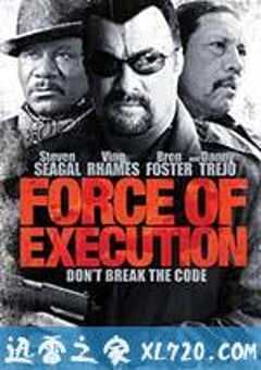 暴力执法 Force of Execution (2013) 4K网盘迅雷下载