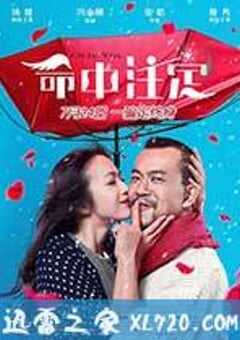 命中注定 (2015) 4K网盘迅雷下载