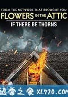 如果有荆棘 If There Be Thorns (2015) 4K网盘迅雷下载