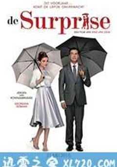 意外制造公司 De Surprise (2015) 4K网盘迅雷下载