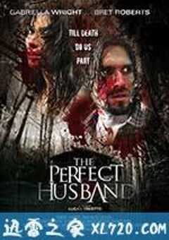 完美丈夫 The Perfect Husband (2014) 4K网盘迅雷下载