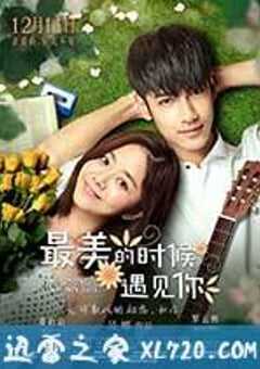 最美的时候遇见你 (2014) 4K网盘迅雷下载