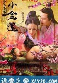 喜气洋洋小金莲 (2015) 4K网盘迅雷下载
