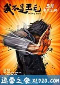我不是王毛 (2014) 4K网盘迅雷下载