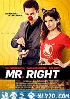 真命天子 Mr. Right (2015) 4K网盘迅雷下载