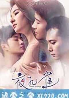 夜孔雀 (2015) 4K网盘迅雷下载