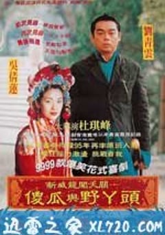 呆佬拜寿 (1995) 4K网盘迅雷下载