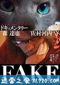 FAKE (2016) 4K网盘迅雷下载