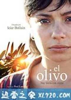 橄榄树 El olivo (2016) 4K网盘迅雷下载