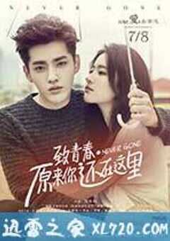 致青春·原来你还在这里 (2016) 4K网盘迅雷下载