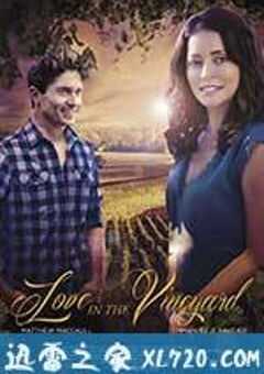 爱在葡萄园 Love in the Vineyard (2016) 4K网盘迅雷下载