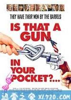 你口袋里有把枪吗？ Is That a Gun in Your Pocket? (2016) 4K网盘迅雷下载