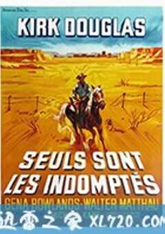 自古英雄多寂寞 Lonely Are the Brave (1962) 4K网盘迅雷下载