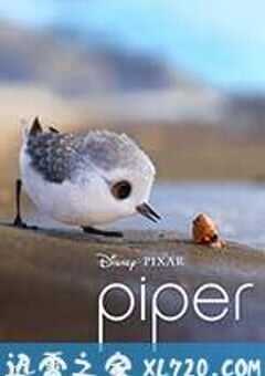 鹬 Piper (2016) 4K网盘迅雷下载