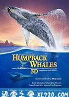 座头鲸 Humpback Whales (2015) 4K网盘迅雷下载