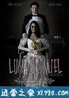 蜜月旅行 Luna de Miel (2016) 4K网盘迅雷下载