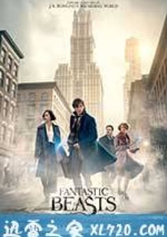 神奇动物在哪里 Fantastic Beasts and Where to Find Them (2016) 4K网盘迅雷下载