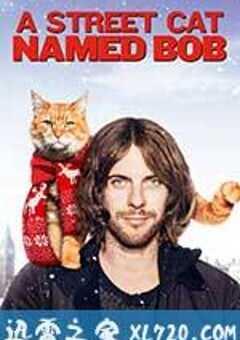 流浪猫鲍勃 A Street Cat Named Bob (2016) 4K网盘迅雷下载
