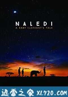 纳勒迪：一只小象的故事 Naledi: A Baby Elephant’s Tale (2016) 4K网盘迅雷下载