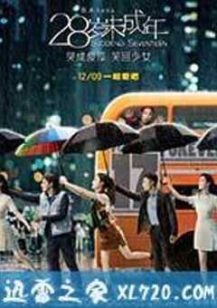 28岁未成年 (2016) 4K网盘迅雷下载