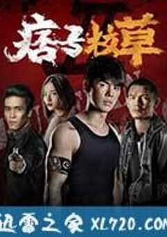 痞子校草2 (2016) 4K网盘迅雷下载