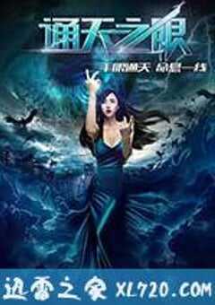 通天之眼 (2016) 4K网盘迅雷下载