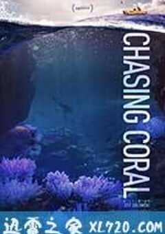追逐珊瑚 Chasing Coral (2017) 4K网盘迅雷下载