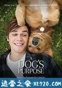 一条狗的使命 A Dog’s Purpose (2017) 4K网盘迅雷下载